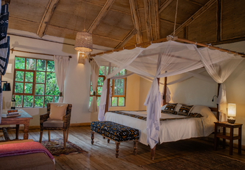 Volcanoes Bwindi Lodge: Standard Room