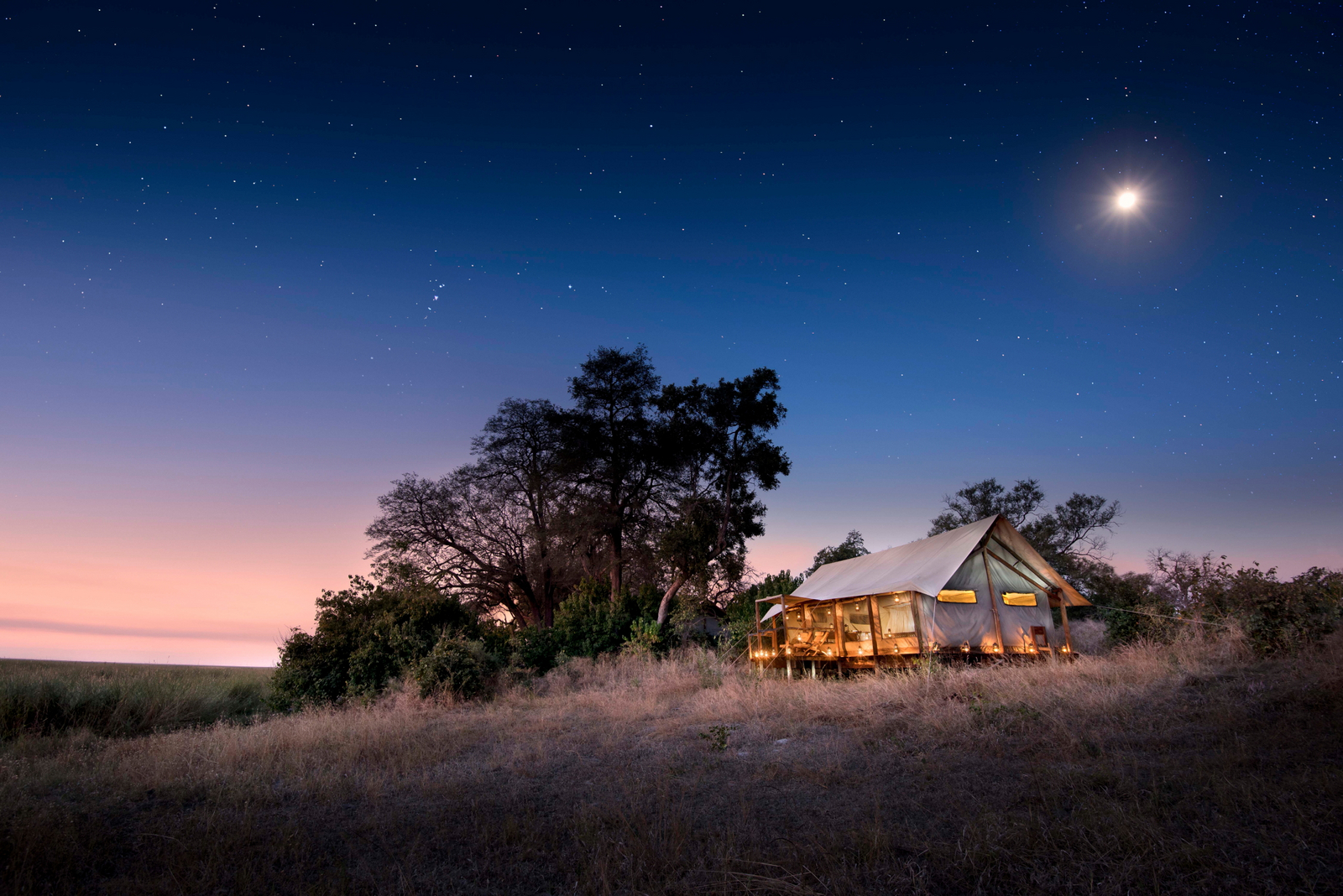 Linyanti Ebony Linyanti Ebony: Zelt unter Sternen