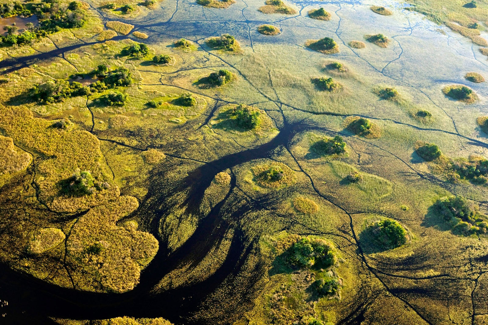 Atzaro Okavango Camp Atzaro Okavango Camp: Sumpflandschaft