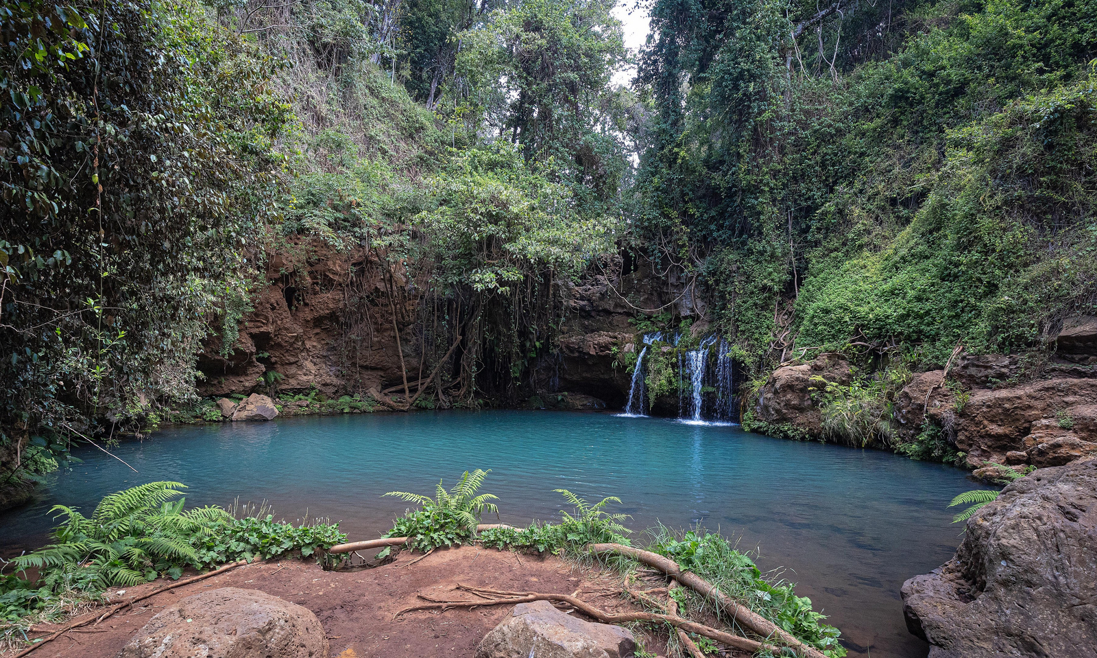 Borana Lodge Borana Lodge: Gewässer mit kleinem Wasserfall