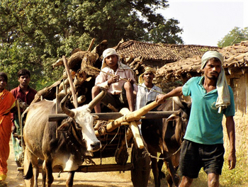 Emerald Tiger Retreat: Ochsenkarren