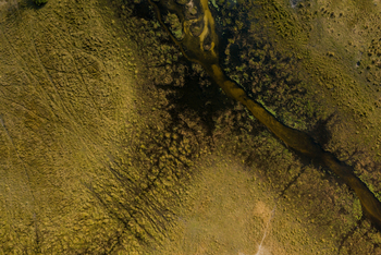 Karangoma Camp: Furt