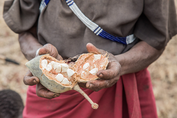 Legendary Mwiba Lodge: Volk der Hadzabe