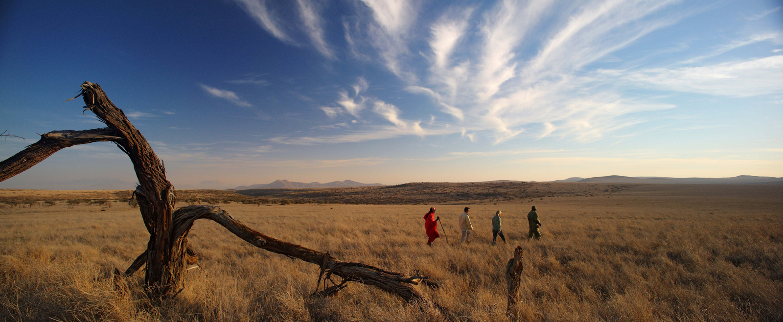 Lewa Safari Camp Lewa Safari Camp: Walking auf dem Plateau