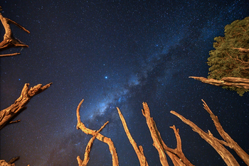 Nimali Tarangire Camp: Sternenhimmel