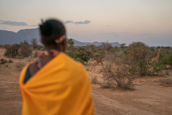 Sarara Eco Collection: Safari mit Ann