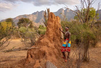 Sarara Eco Collection: Termitenbau