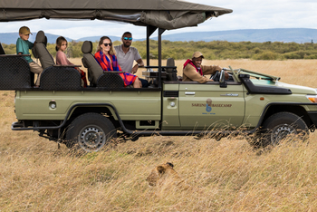 Basecamp Masai Mara: Löwin vor Safari Auto