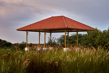 Blackbuck Safari Lodge: Gazebo