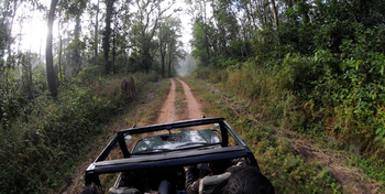 Denwa Backwater Escape: Pirschfahrt