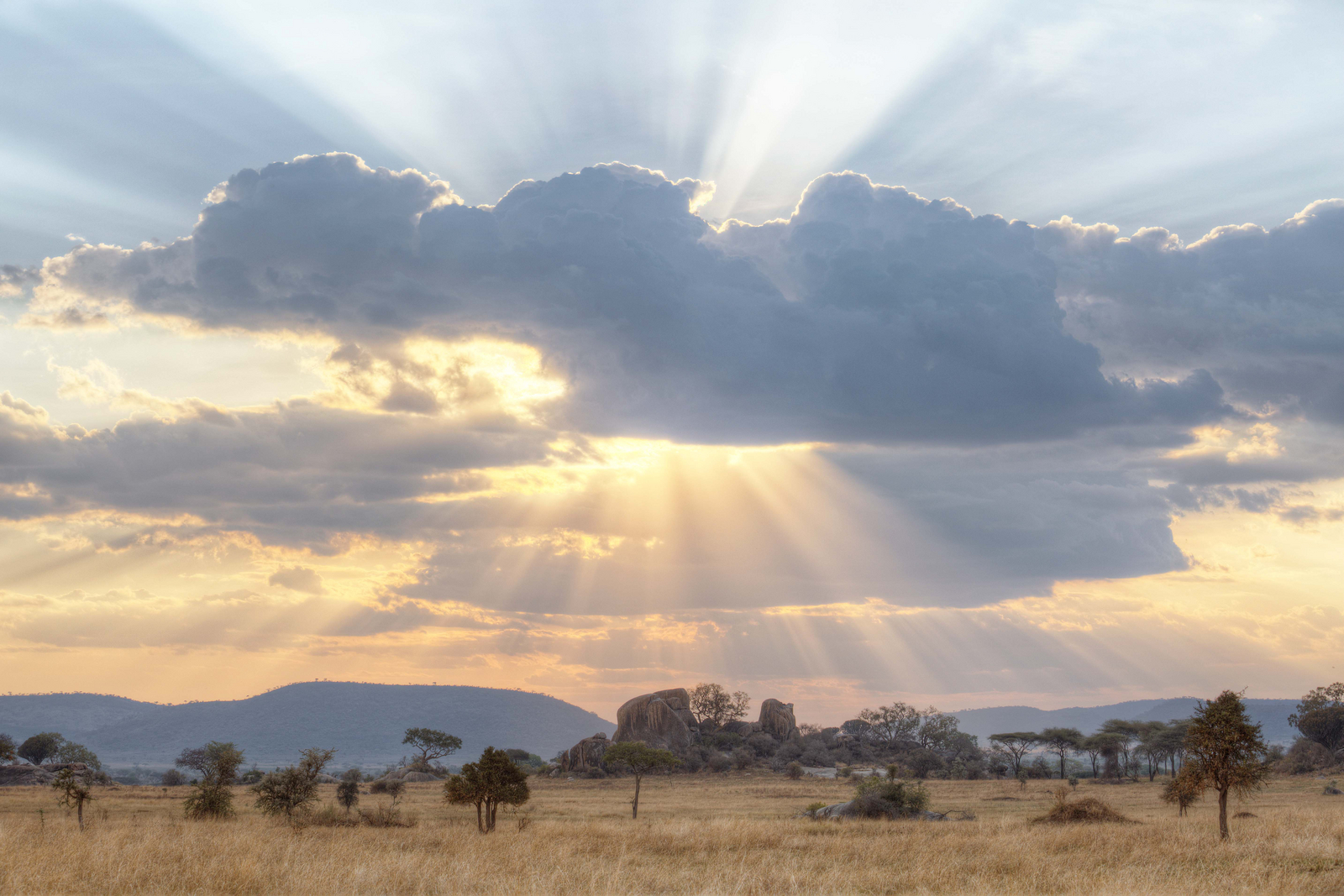 Dunia Camp Dunia Camp