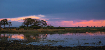 Jackalberry Camp: Abendstimmung