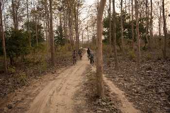 Jim's Jungle Retreat: Cycling
