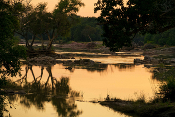 Koro River Camp: Dämmerung auf dem FLuss