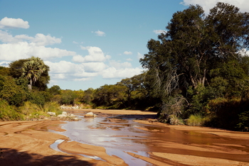 Laba Jongomero: Saisonaler Flusslauf in grüner Umgebung