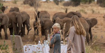Nimali Tarangire Camp: Lunch mit Blick auf eine Elefantenherde