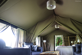 Porini Lion Camp: Interieur