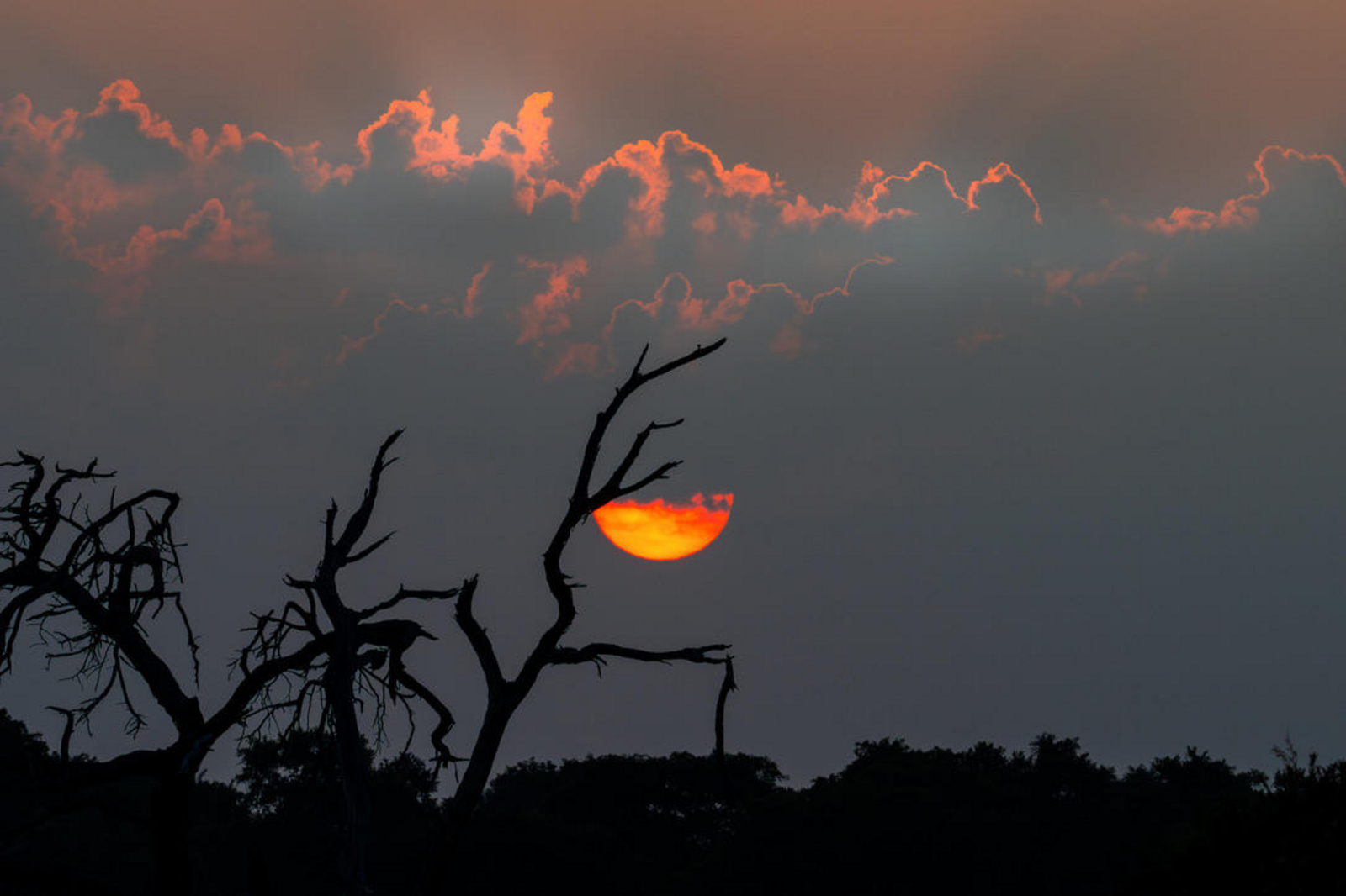 Saguni Safari Lodge Saguni Safari Lodge: Untergehende Sonne