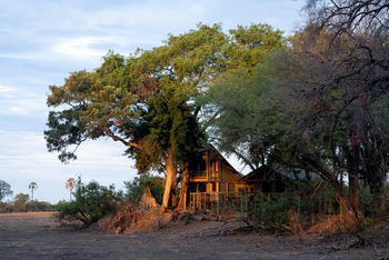 Seba Camp: Family Unit