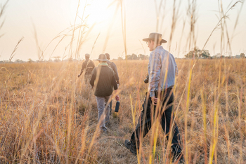 Time + Tide South Luangwa Time + Tide South Luangwa: Walking Safari