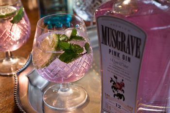 andBeyond Bateleur Camp: Pink Gin