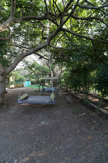 Asiatic Lion Lodge Asiatic Lion Lodge: Schaukel