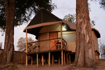 Camp Linyanti Camp Linyanti: Bäume am Gästezelt
