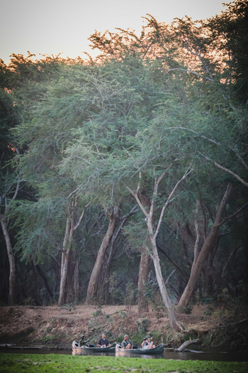 Classic Zambia Safaris Classic Zambia Safaris: Kanu-Safari