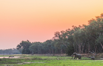 Classic Zambia Safaris Classic Zambia Safaris: Kanu-Safari