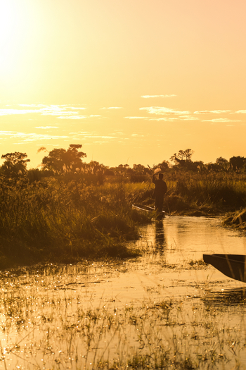 Duke's Camp: Mokoroausflug