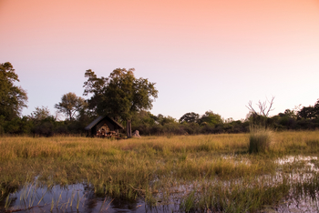 Duke's Camp: Zelt am Rand vom Sumpf