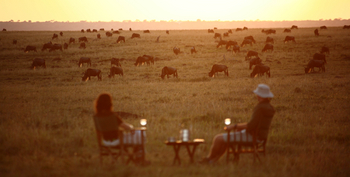 Elewana Elephant Pepper Camp Elewana Elephant Pepper Camp: Sundowner vor Gnuherde