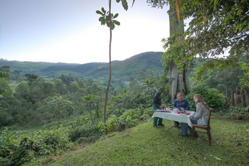 Mahogany Springs Safari Lodge: Outdoor Lunch