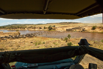 Mara Toto Tree Camp: Wildebeest-Crossing