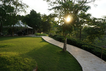 Niltava: Weg durchs Gelände