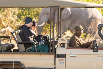 Rra Dinare Camp: Elefant beim Game Drive