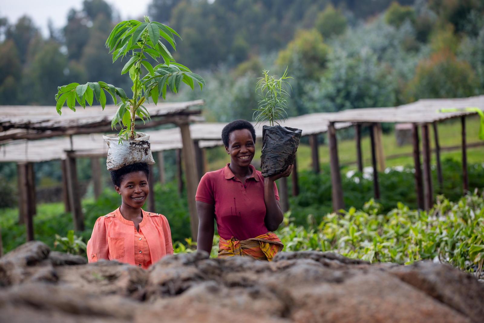 Singita Kwitonda Lodge Singita Kwitonda Lodge: Akarabo Nursery