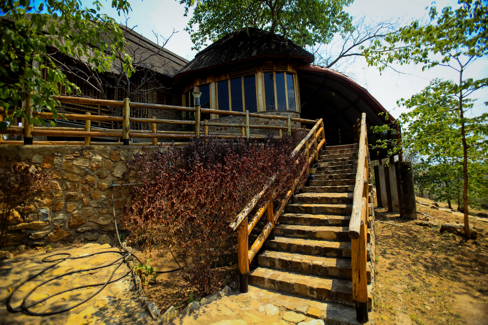 Adere Safari Lodge Adere Safari Lodge: Treppe