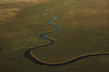 Duba Explorers Camp: Duba Plains mit Nqoga River