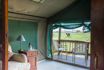 Gunn's Camp: Elefant vor einem Zelt