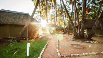 Omarunga Epupa Falls Camp: Weg im Camp