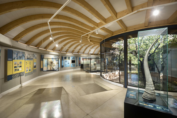 Ongava Research Center: Nashorn