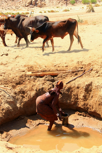 Sanctuary Okahirongo River Camp Sanctuary Okahirongo River Camp: No Title