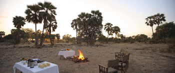 Sausage Tree Camp: Bush Breakfast