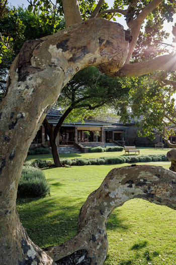 Singita Sasakwa Lodge: Rasen vor dem Haupthaus