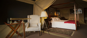 The Bison Resort: Sessel und Spektiv