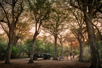 andBeyond Phinda Forest Lodge: Sundowner im Busch