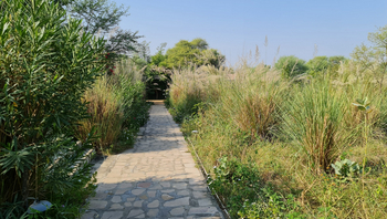 Amritara Jawai Sagar: Weg durch das Gelände