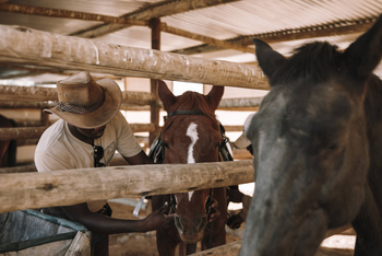 Desert Homestead Lodge Desert Homestead Lodge: Reiten