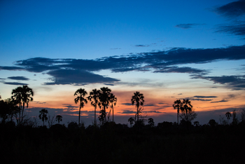Gomoti Plains Camp: Tiere und Landschaft